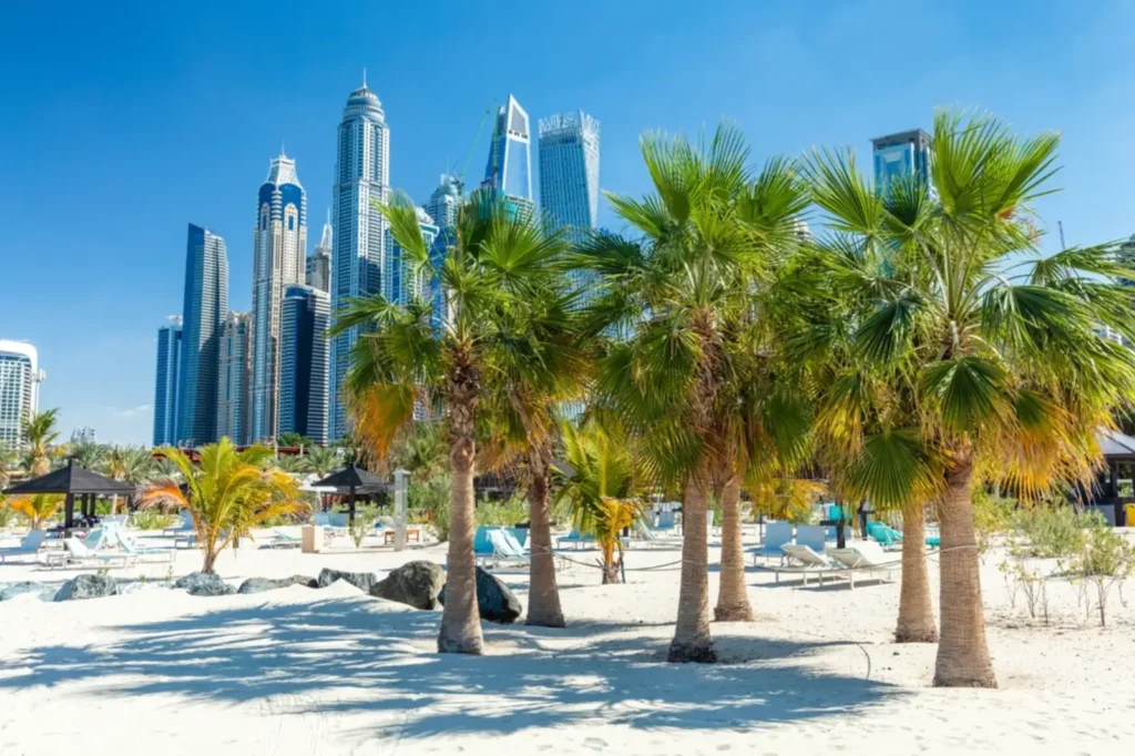Dubaï Découvrez les Quartiers les Plus Attractifs pour un Investissement Immobilier Optimal