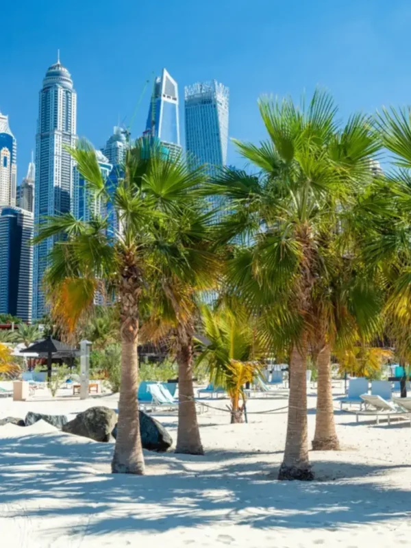 Dubaï Découvrez les Quartiers les Plus Attractifs pour un Investissement Immobilier Optimal