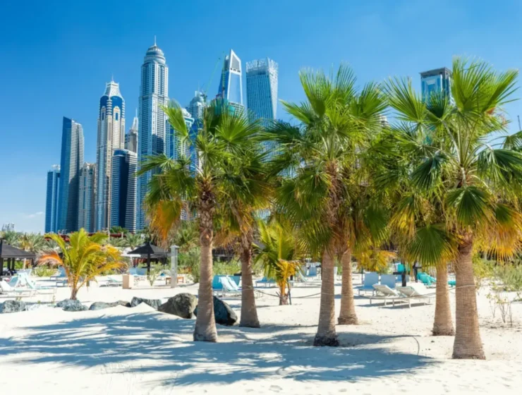 Dubaï Découvrez les Quartiers les Plus Attractifs pour un Investissement Immobilier Optimal